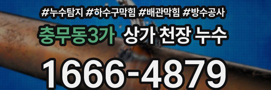 충무동3가 상가 천장 누수