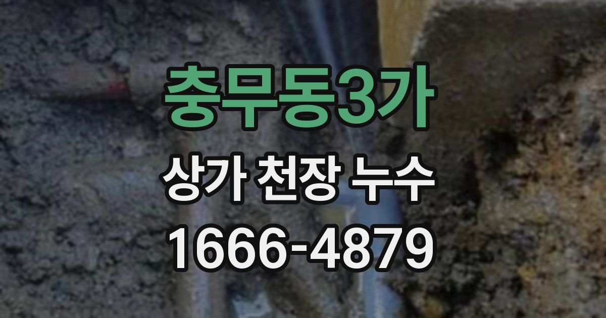 충무동3가 상가 천장 누수