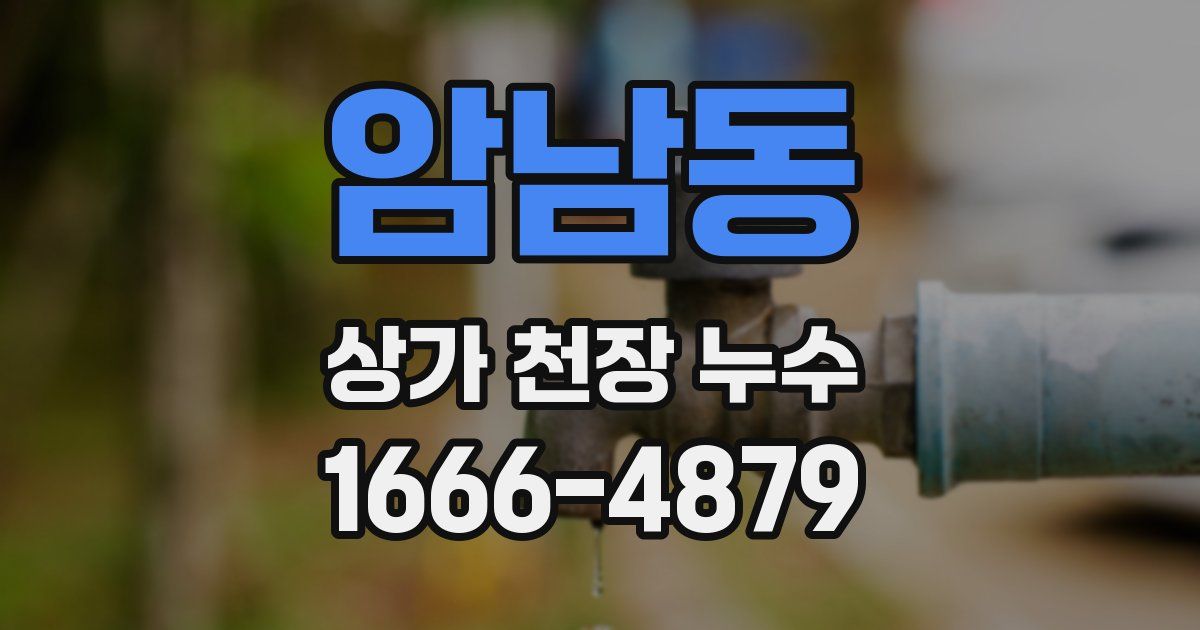 암남동 상가 천장 누수