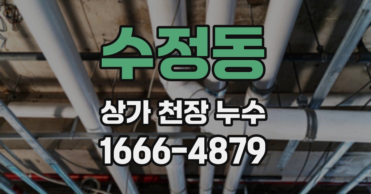 수정동 상가 천장 누수