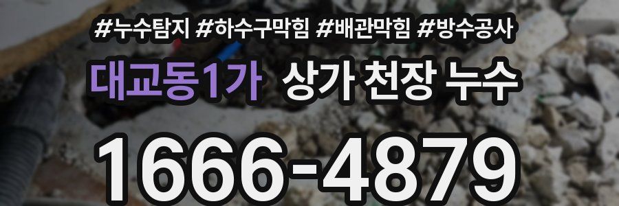 대교동1가 상가 천장 누수