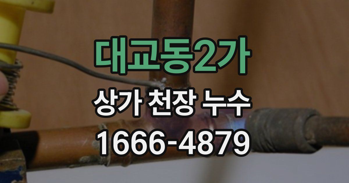 대교동2가 상가 천장 누수