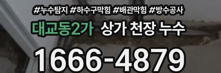 대교동2가 상가 천장 누수