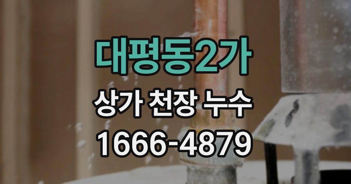 대평동2가 상가 천장 누수