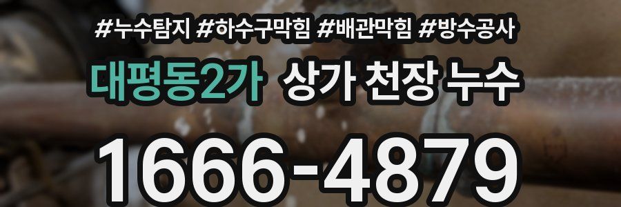 대평동2가 상가 천장 누수