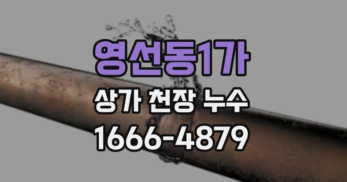 영선동1가 상가 천장 누수