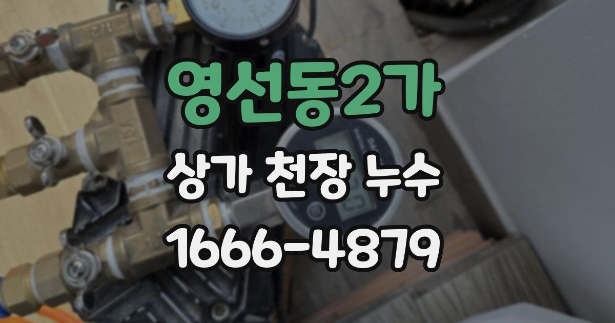 영선동2가 상가 천장 누수