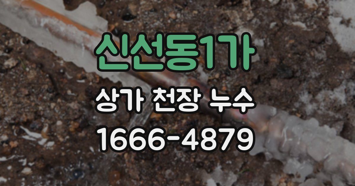 신선동1가 상가 천장 누수
