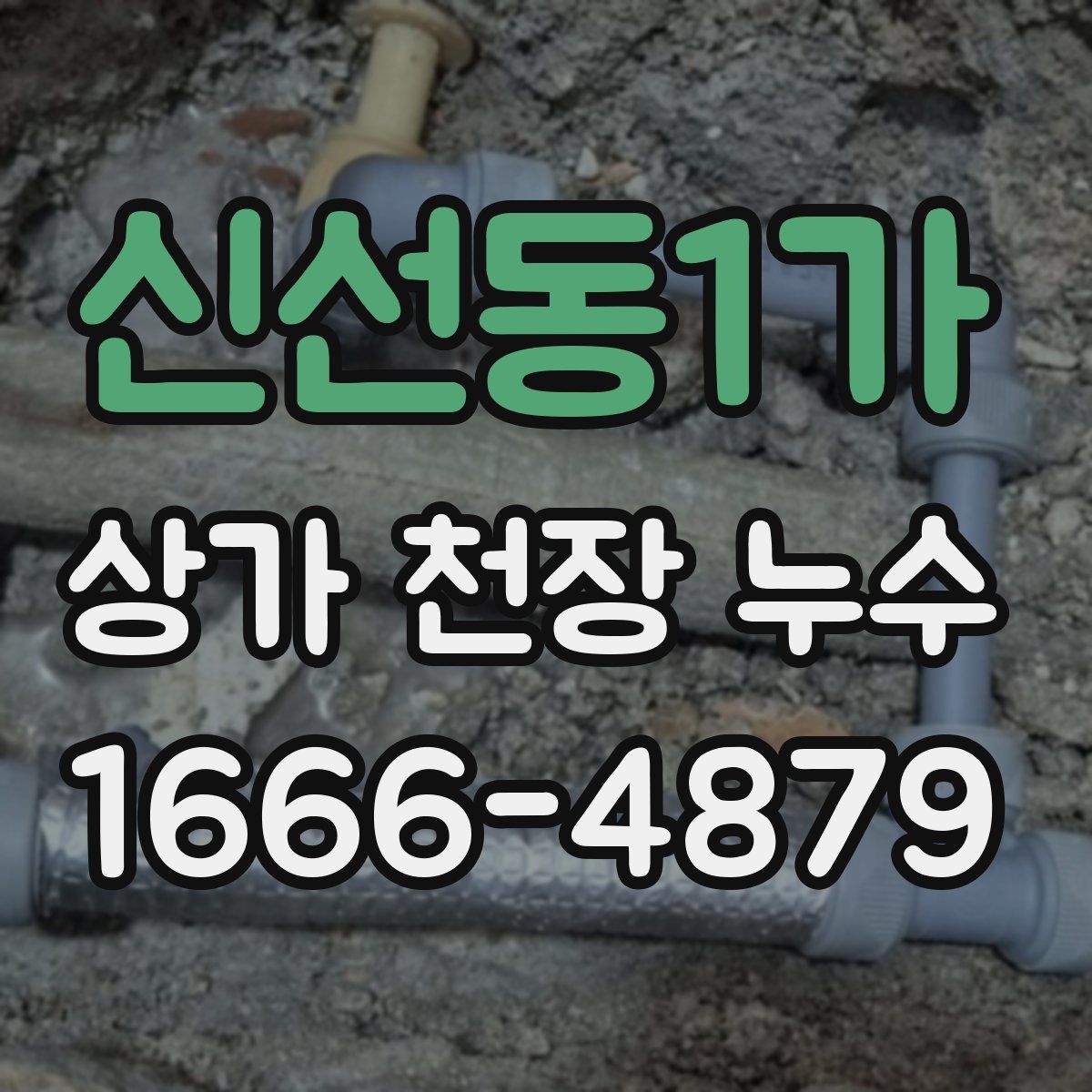 신선동1가 상가 천장 누수
