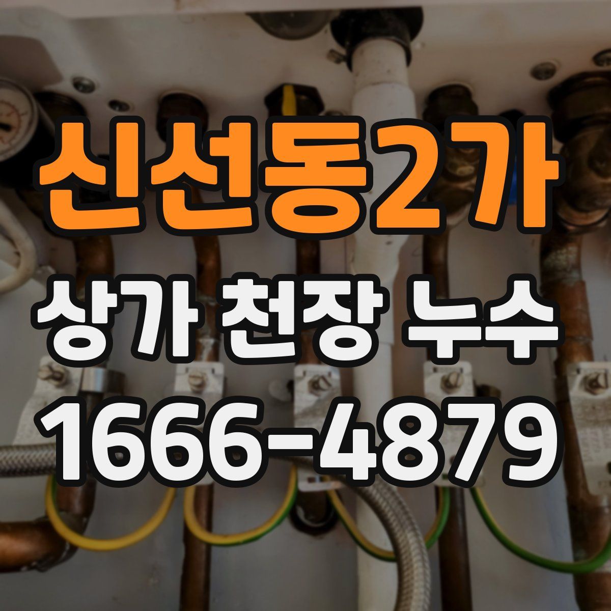 신선동2가 상가 천장 누수