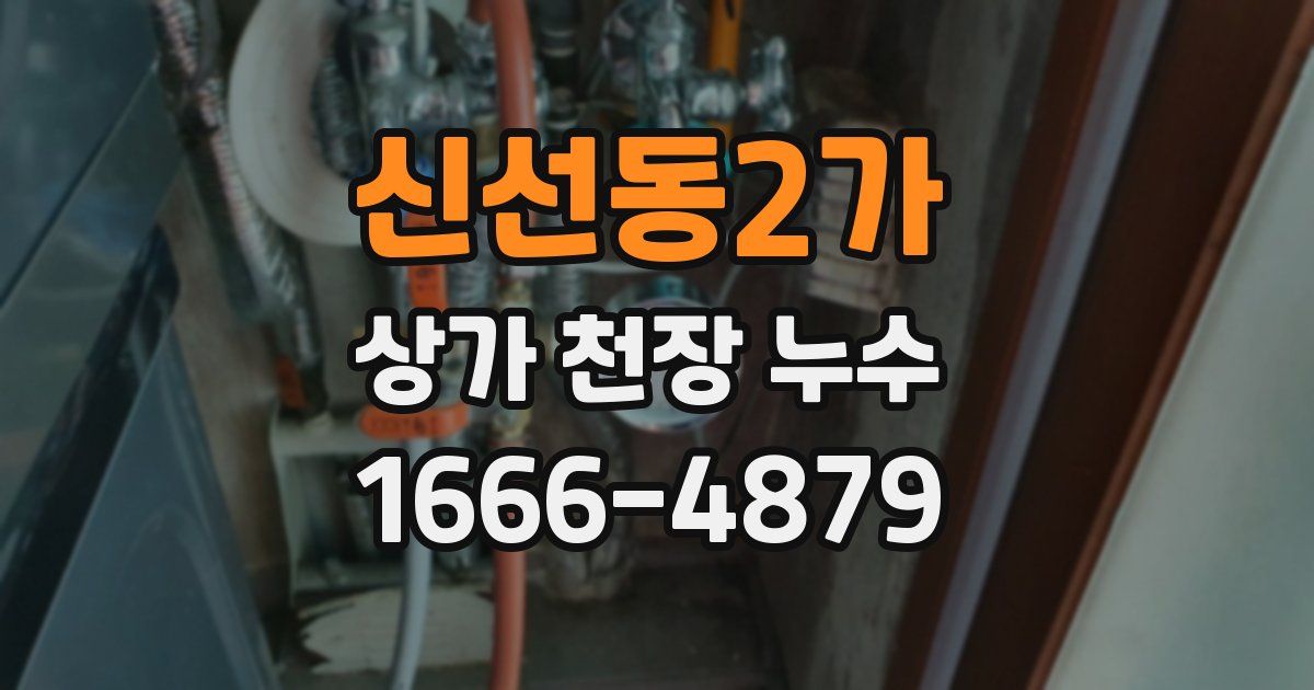 신선동2가 상가 천장 누수