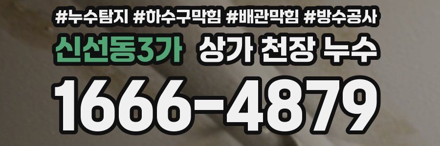 신선동3가 상가 천장 누수