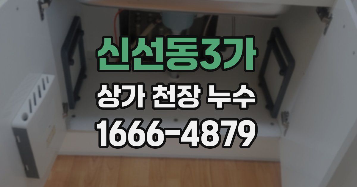 신선동3가 상가 천장 누수