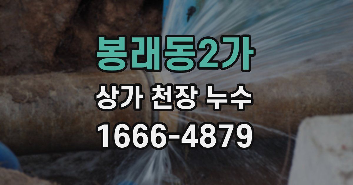 봉래동2가 상가 천장 누수