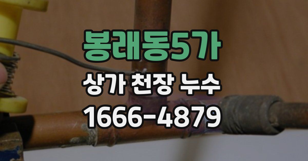 봉래동5가 상가 천장 누수