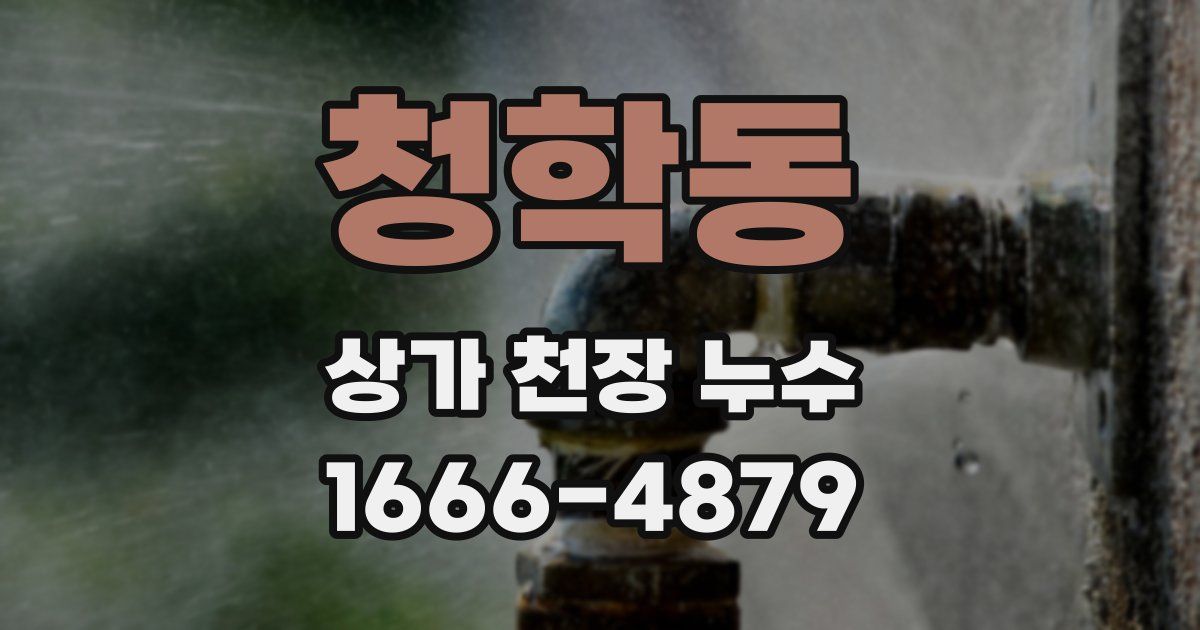 청학동 상가 천장 누수