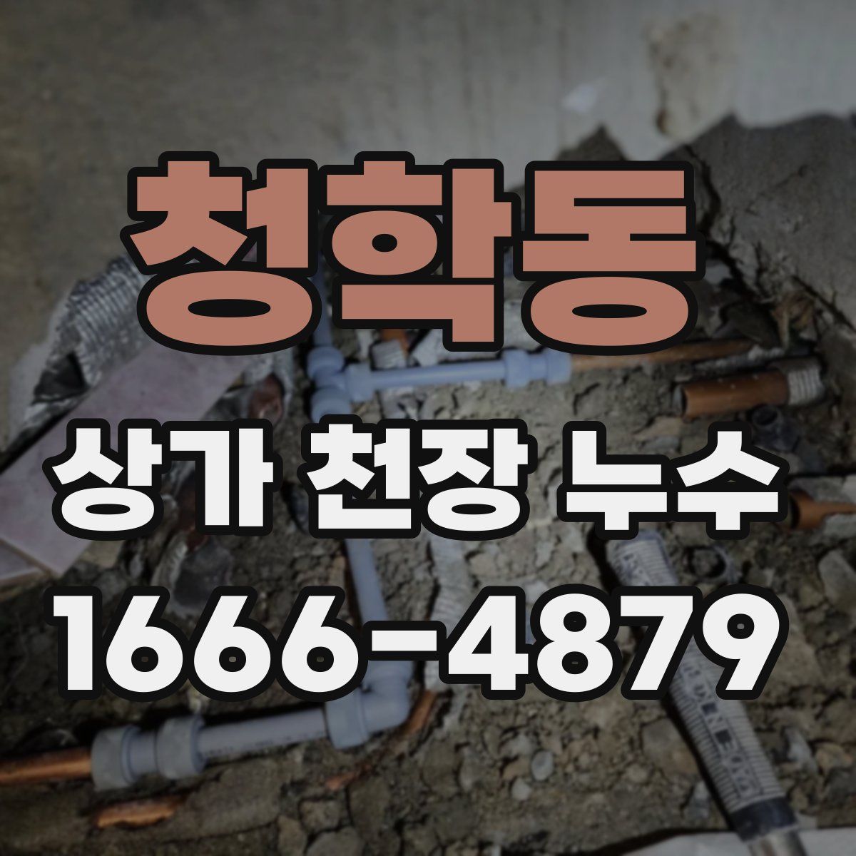 청학동 상가 천장 누수