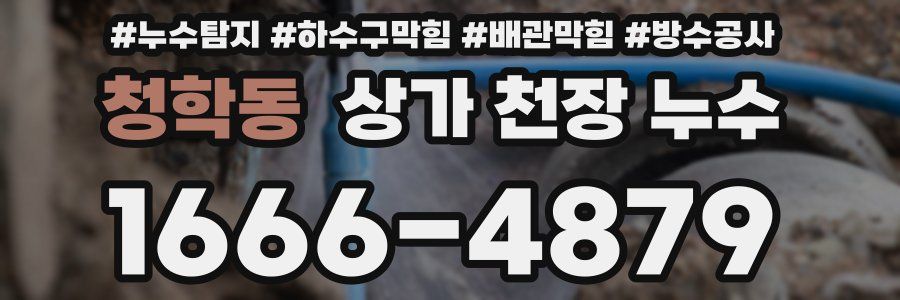 청학동 상가 천장 누수