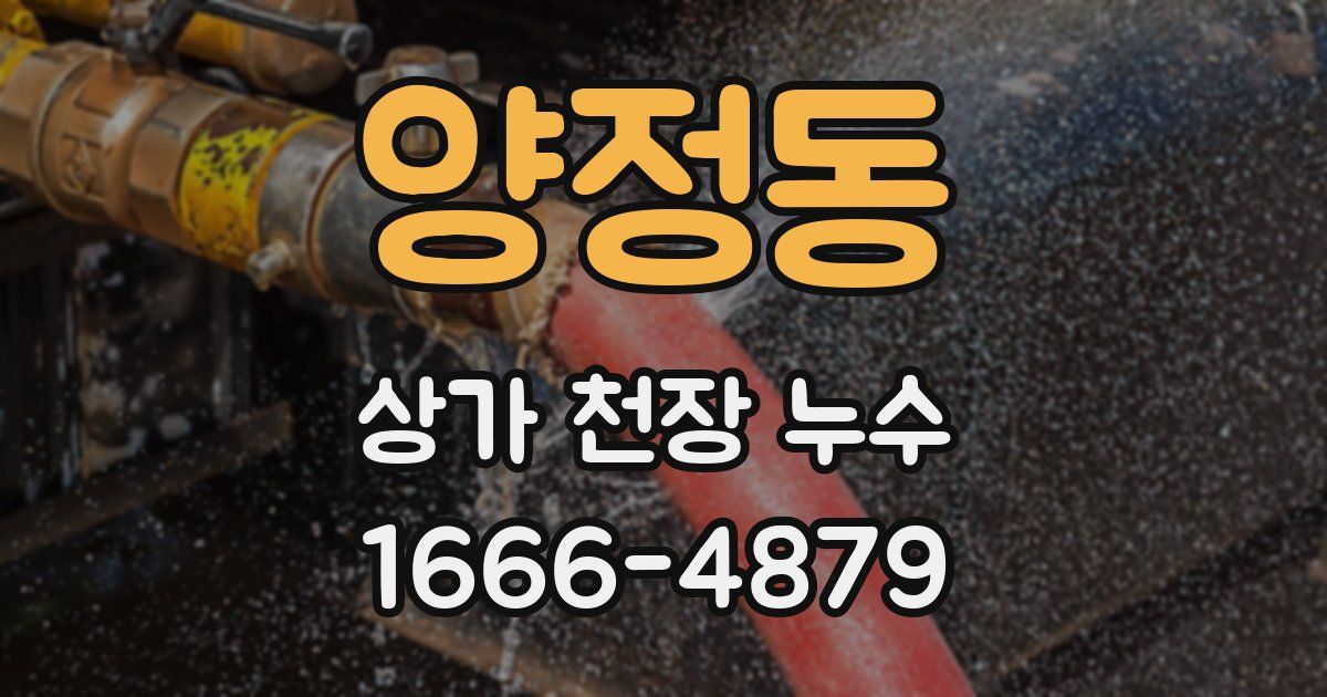 양정동 상가 천장 누수