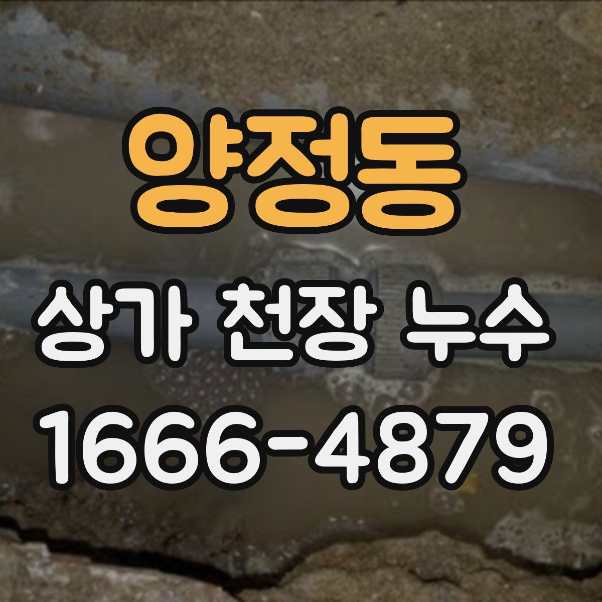 양정동 상가 천장 누수