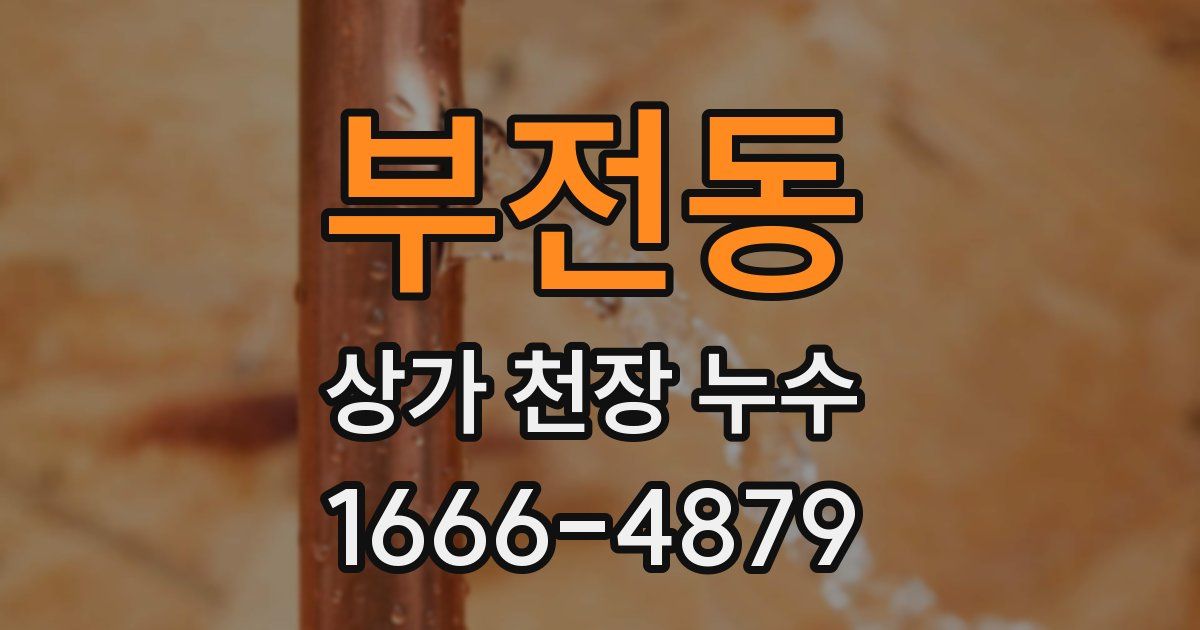부전동 상가 천장 누수