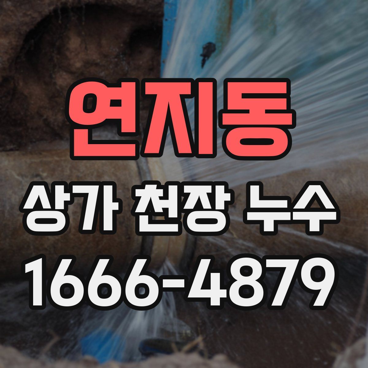 연지동 상가 천장 누수