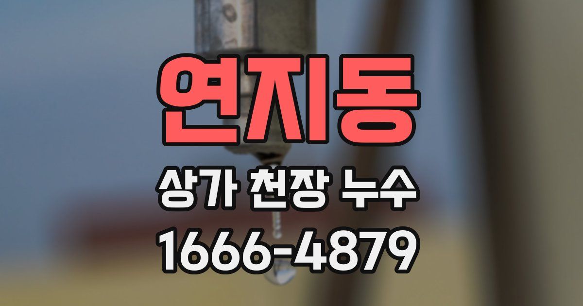 연지동 상가 천장 누수