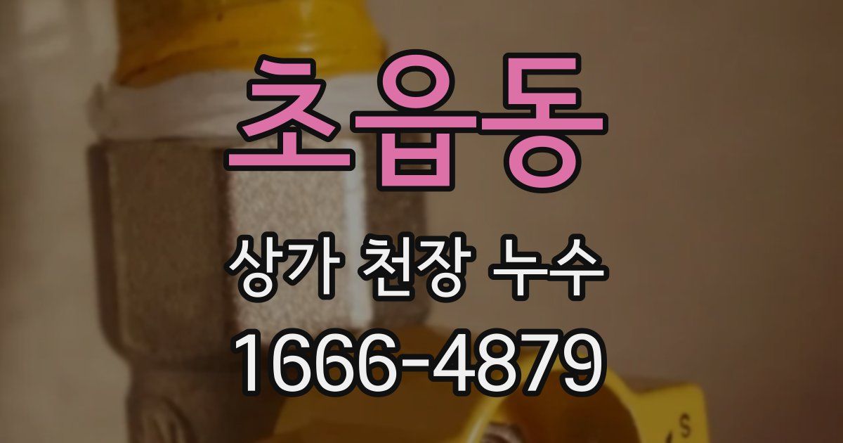 초읍동 상가 천장 누수