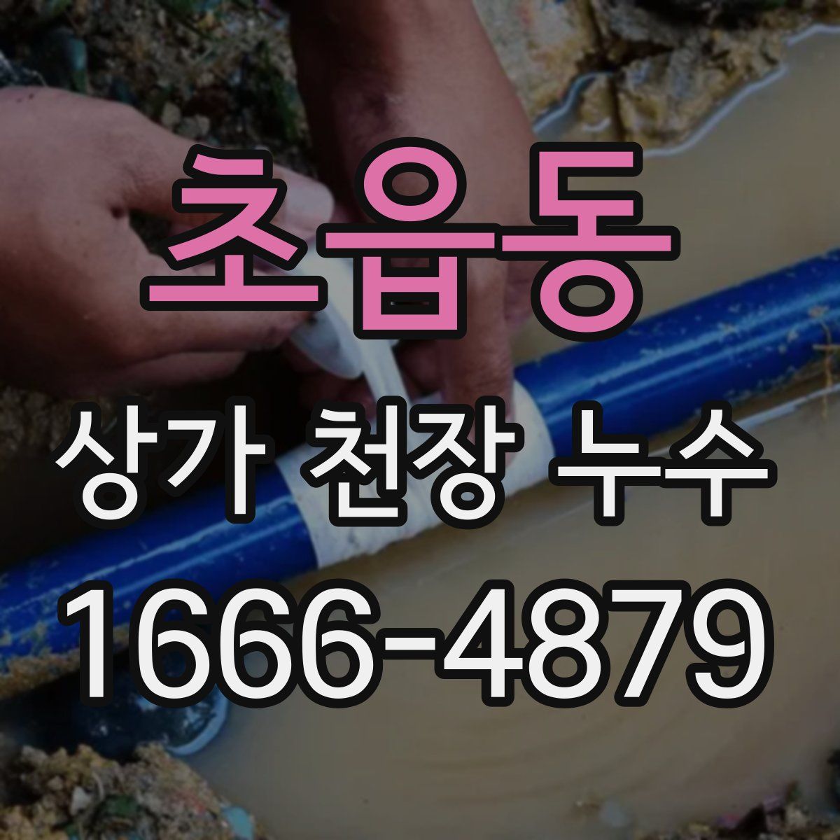 초읍동 상가 천장 누수
