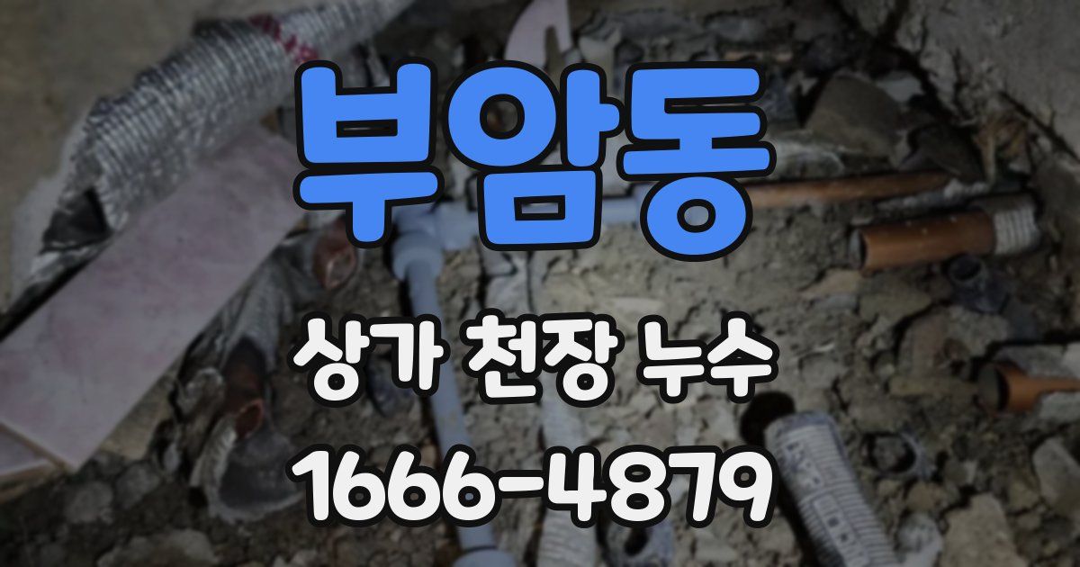 부암동 상가 천장 누수