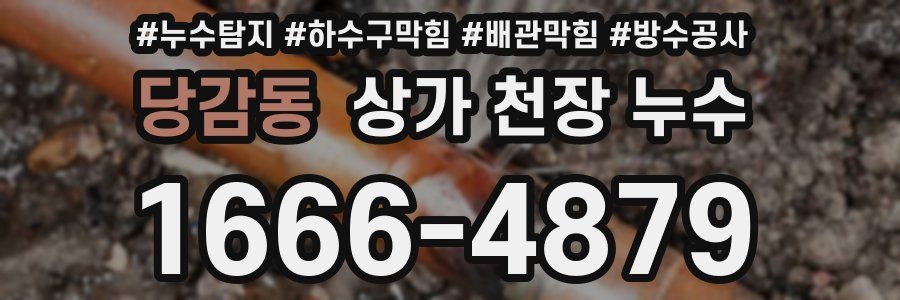 당감동 상가 천장 누수