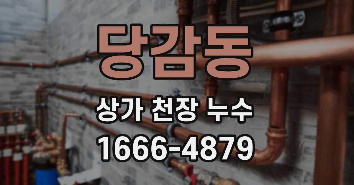 당감동 상가 천장 누수