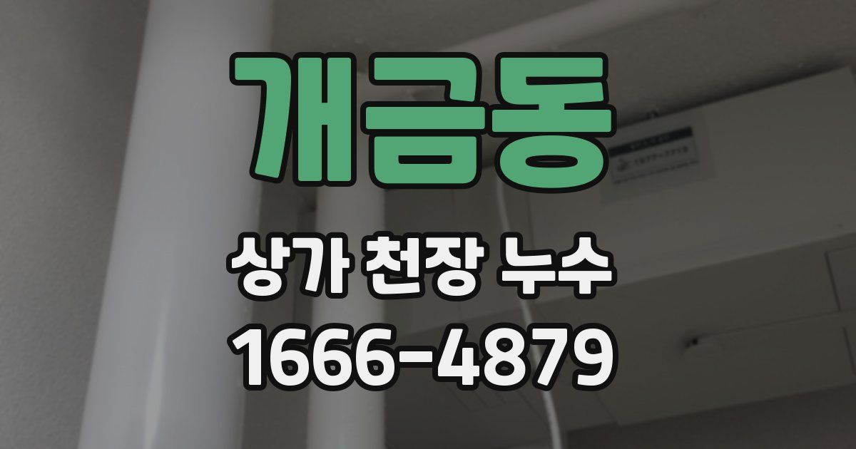 개금동 상가 천장 누수