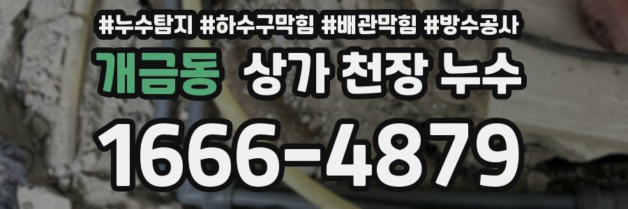 개금동 상가 천장 누수