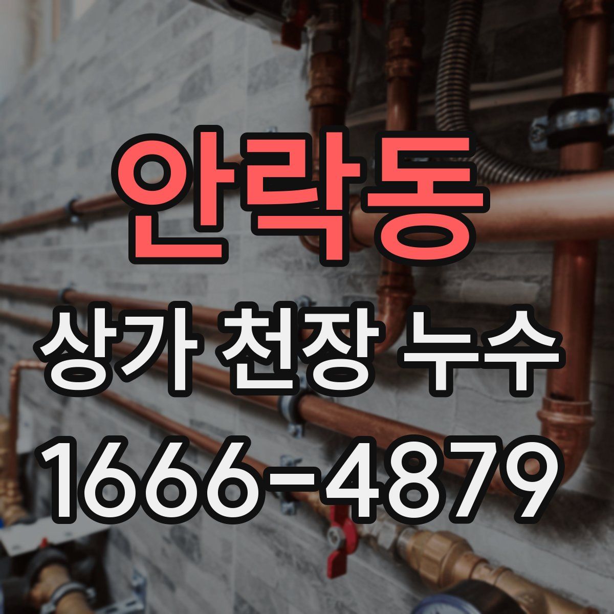 안락동 상가 천장 누수