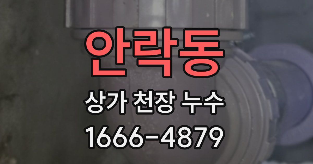 안락동 상가 천장 누수