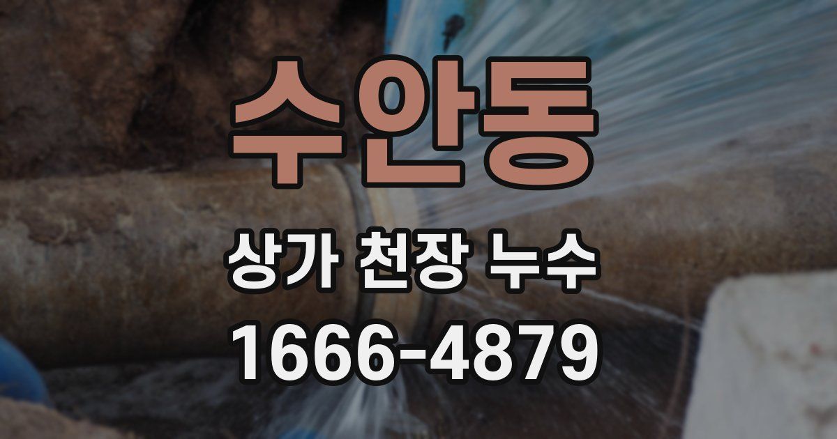 수안동 상가 천장 누수