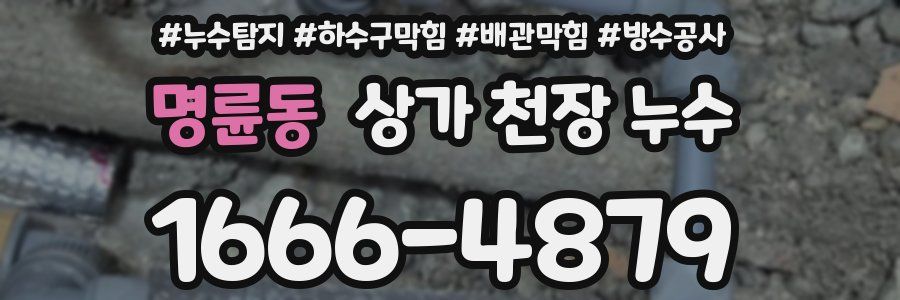 명륜동 상가 천장 누수