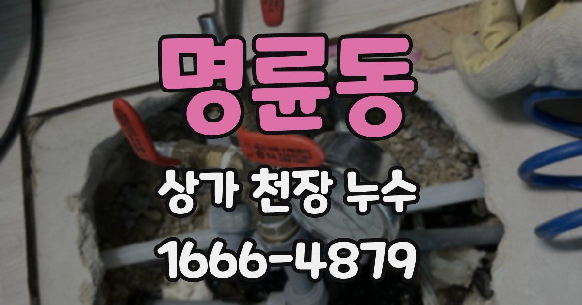 명륜동 상가 천장 누수