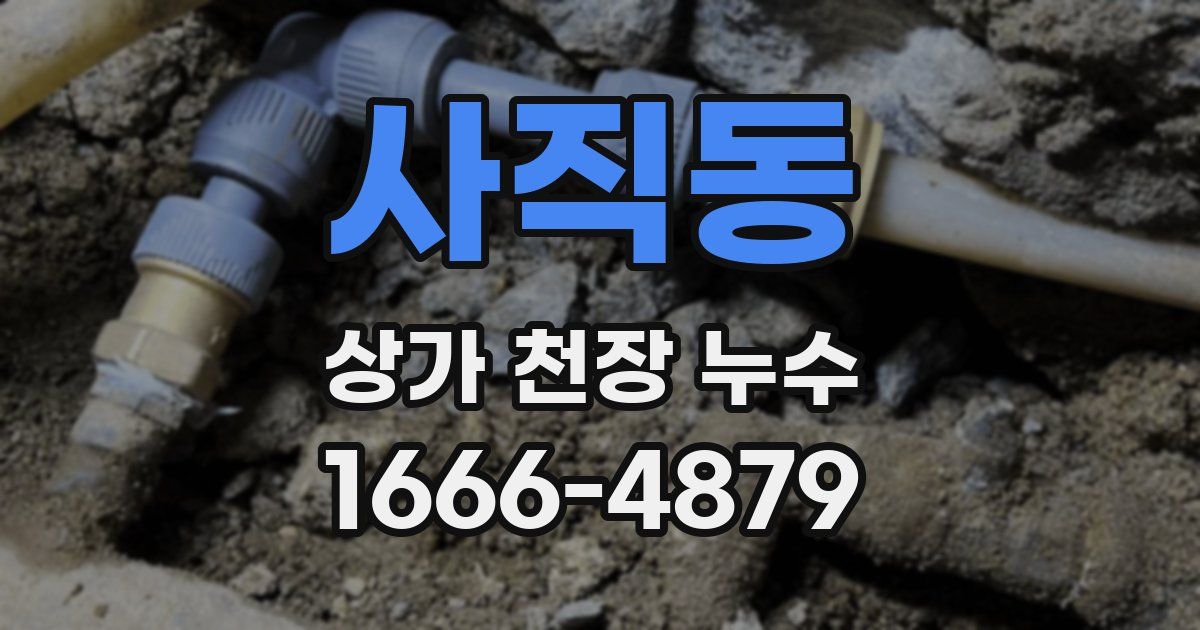 사직동 상가 천장 누수