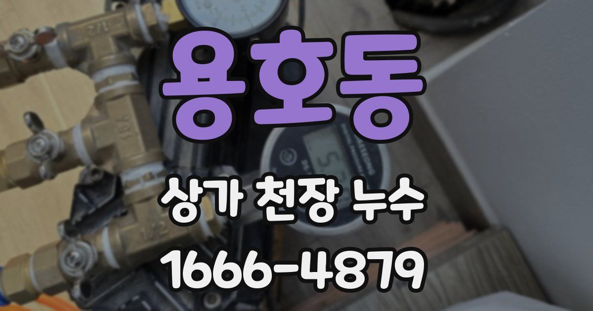 용호동 상가 천장 누수