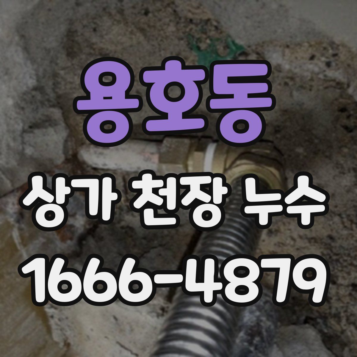 용호동 상가 천장 누수