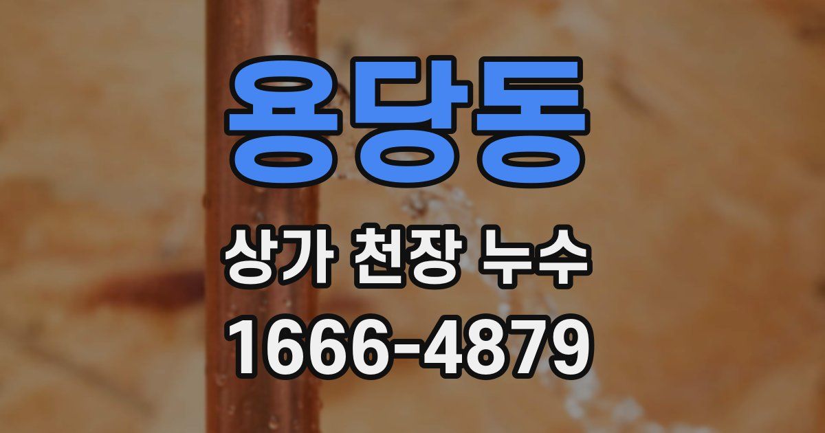 용당동 상가 천장 누수