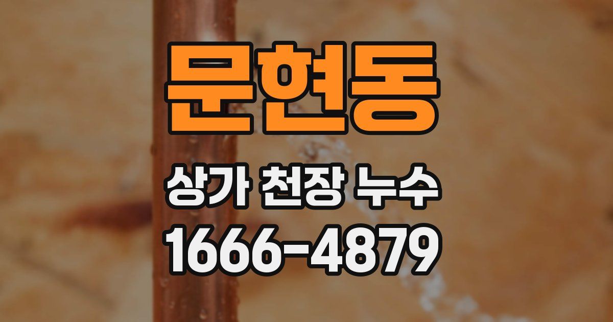 문현동 상가 천장 누수