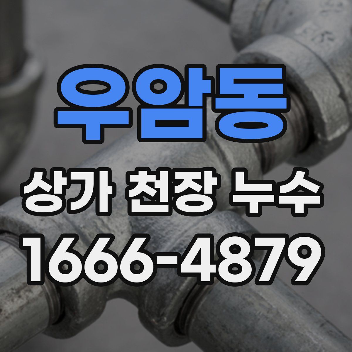 우암동 상가 천장 누수