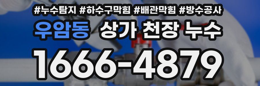 우암동 상가 천장 누수