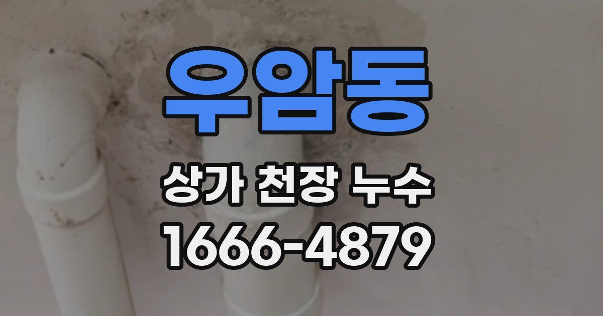 우암동 상가 천장 누수