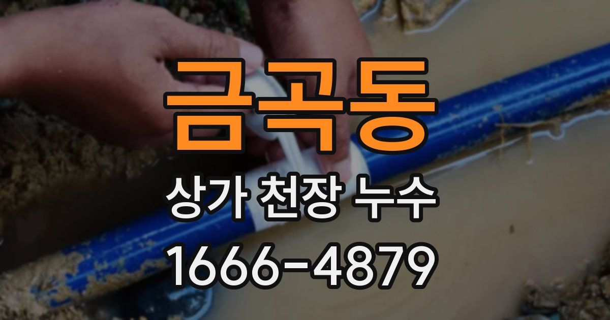 금곡동 상가 천장 누수