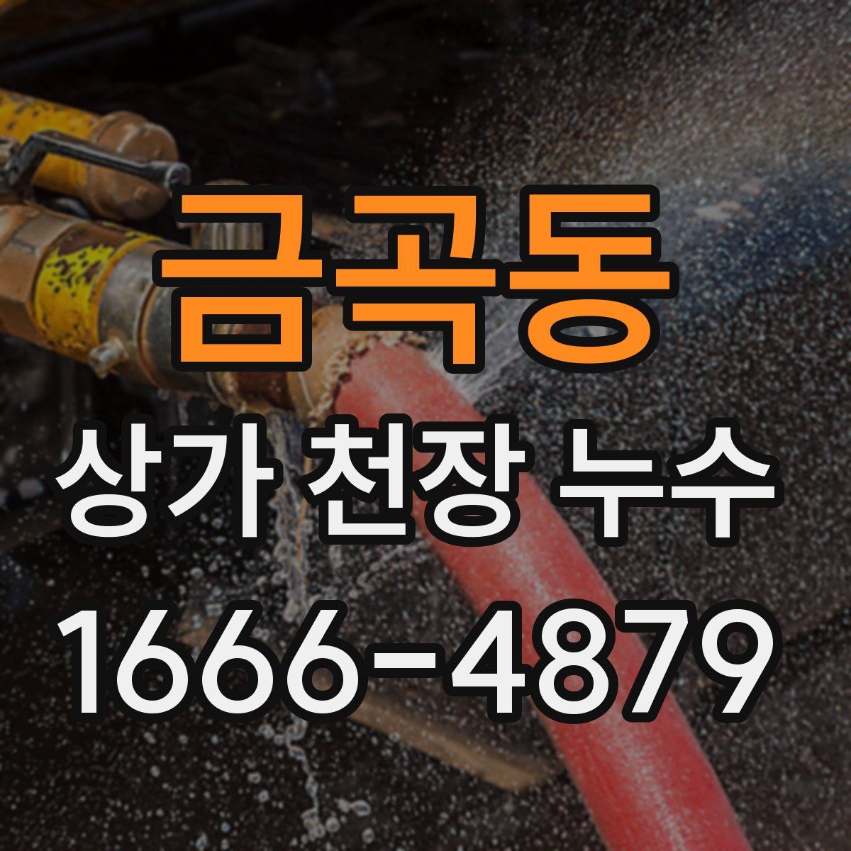 금곡동 상가 천장 누수