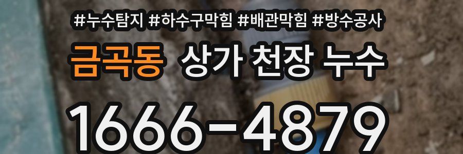금곡동 상가 천장 누수